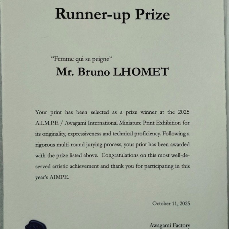 Femme qui se peigne - Runner-Up Prize 2