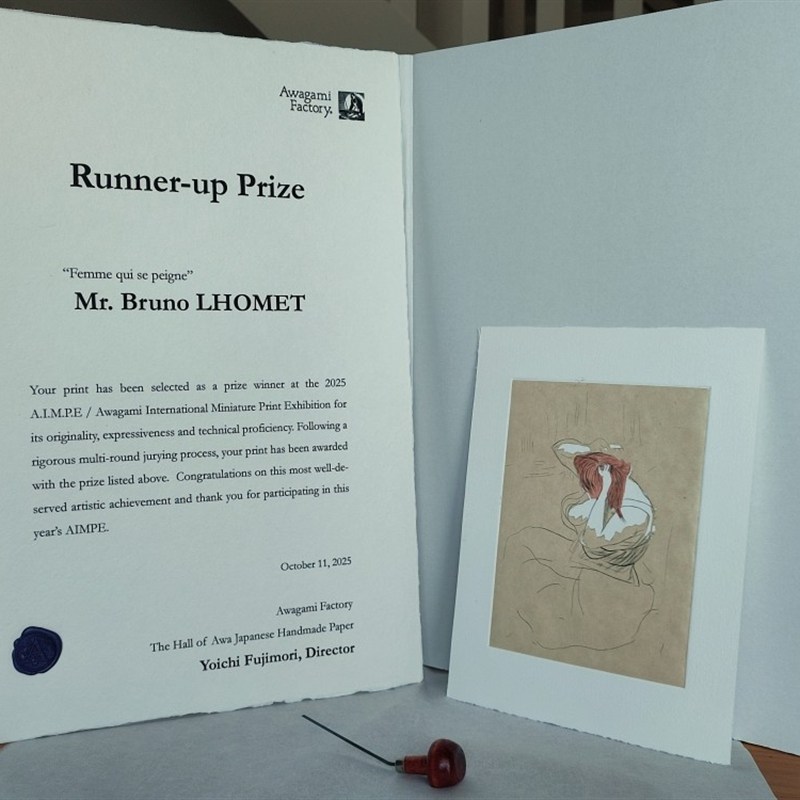 Femme qui se peigne - Runner-Up Prize 