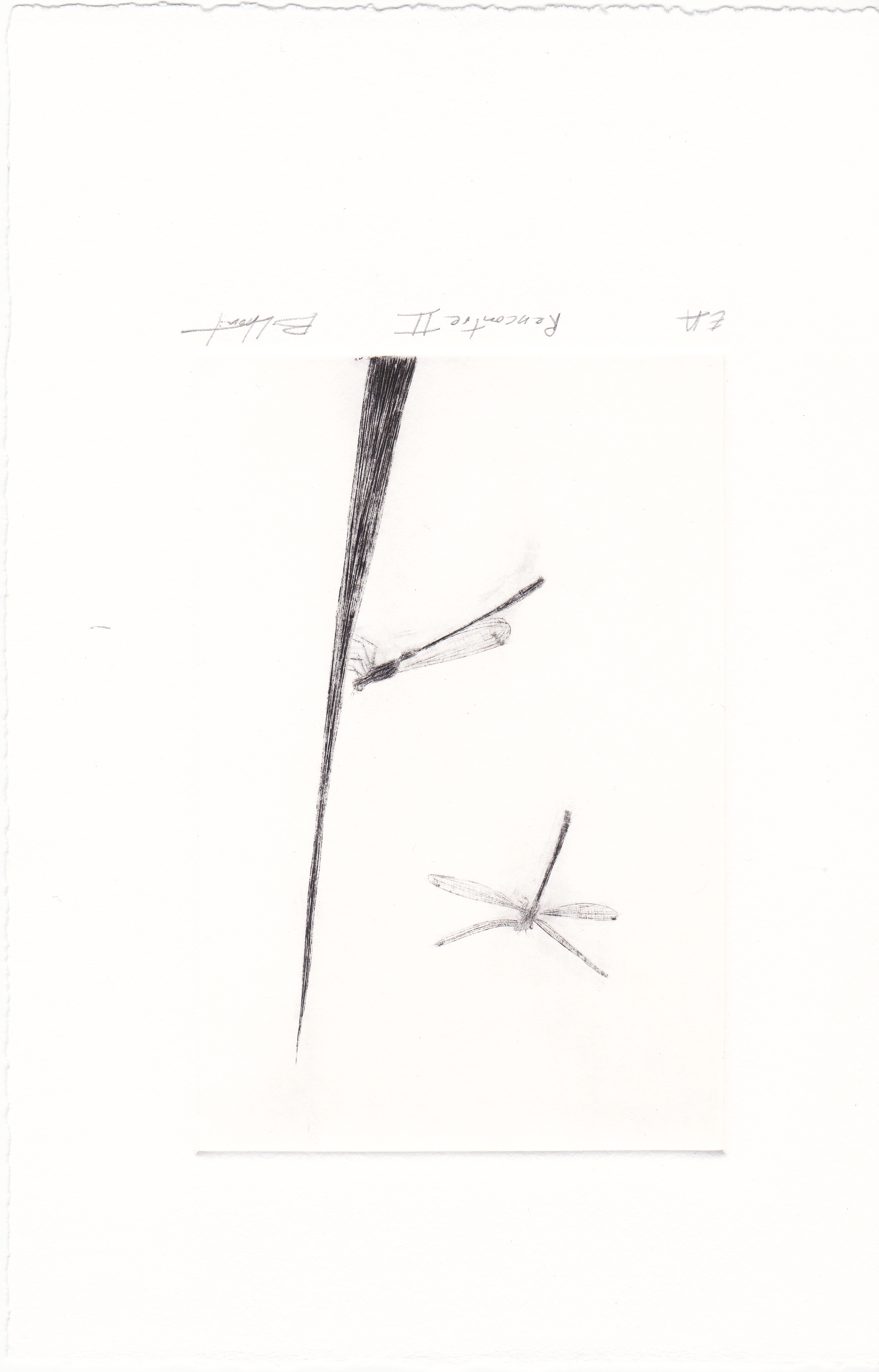 Rencontre II - burin - matrice 10 x 15 cm - edition 1