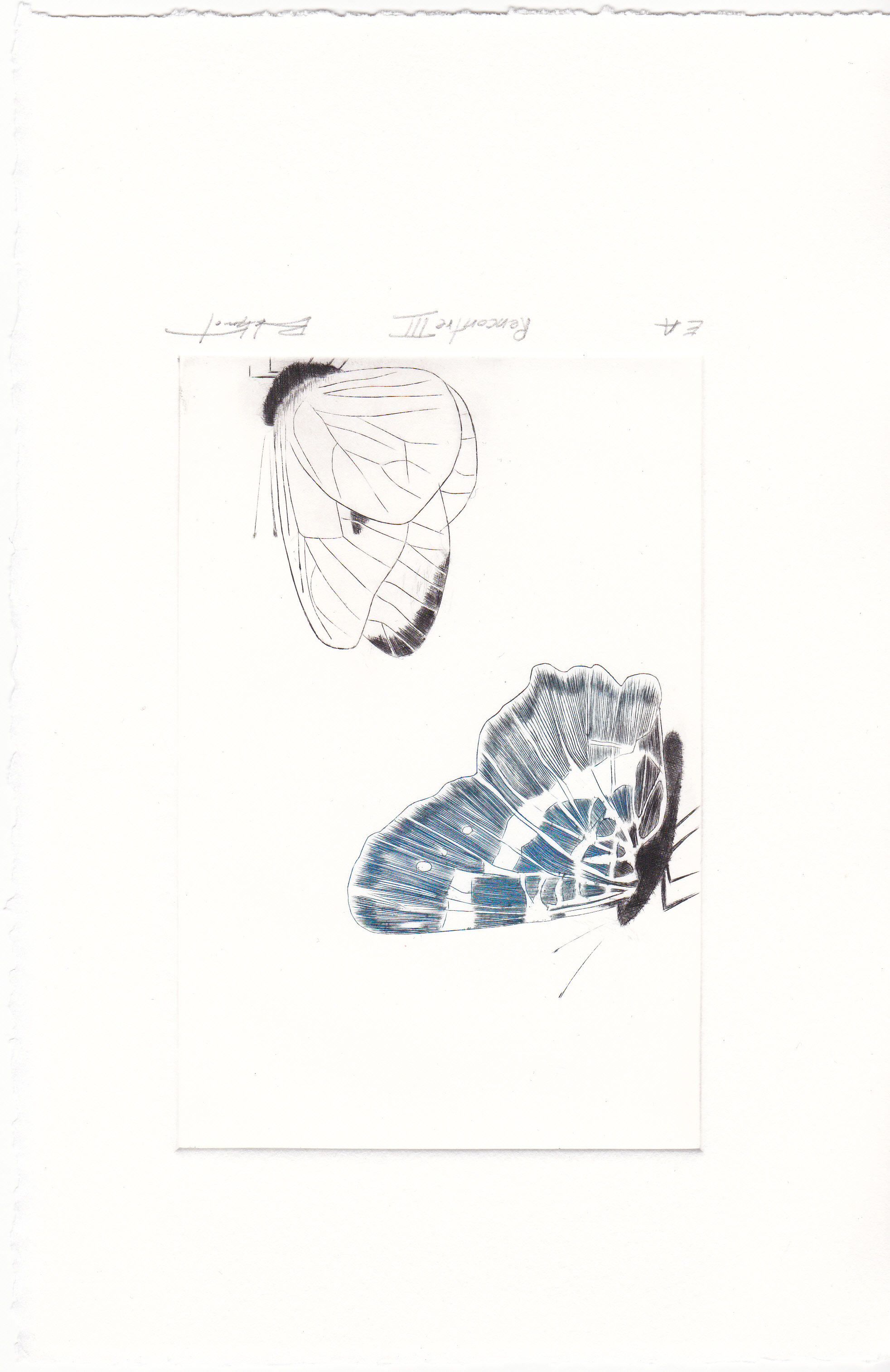 Rencontre III - burin - matrice 10 x 15 cm - edition 10