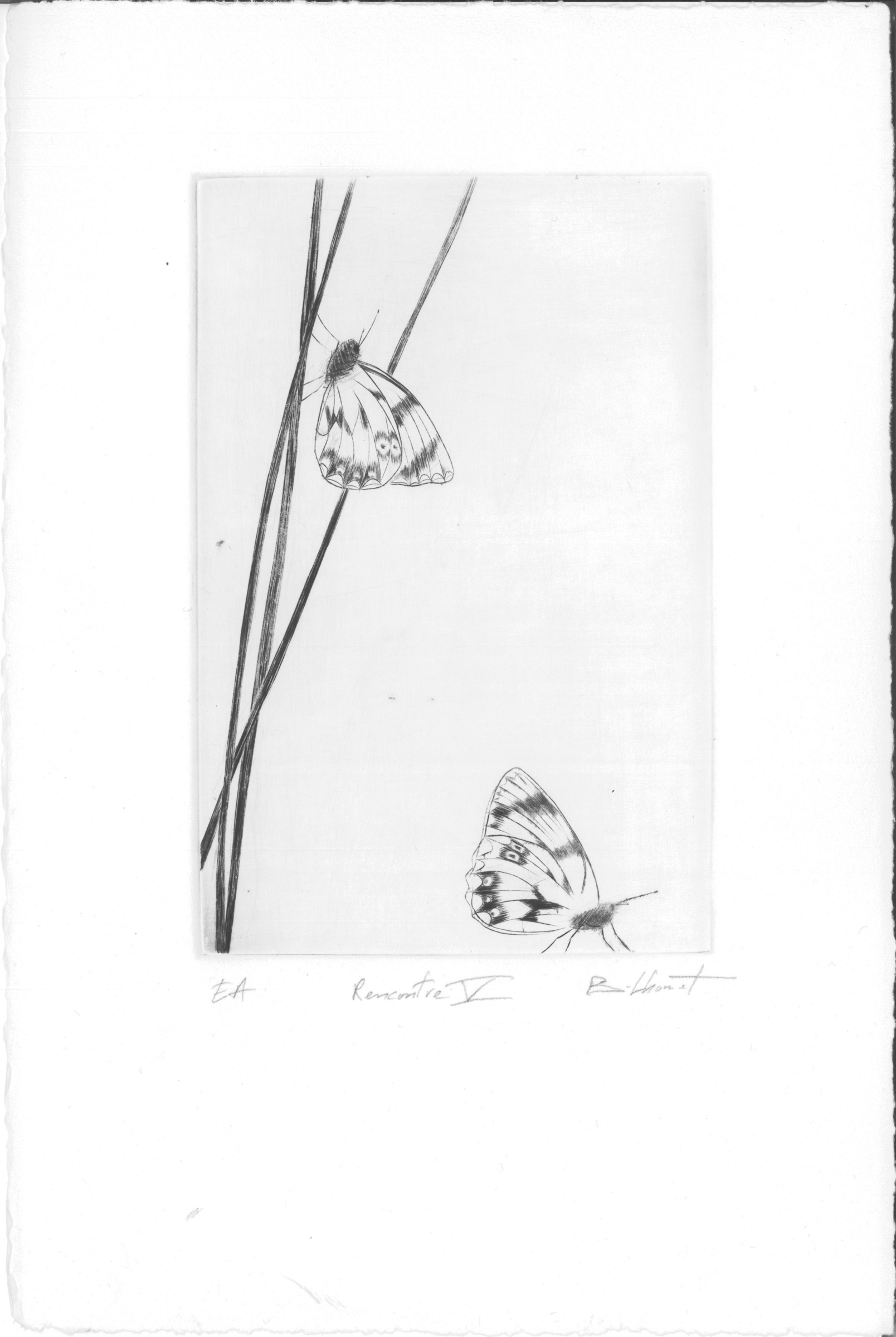 Rencontre V - burin - matrice 10 x 15 cm - edition 1