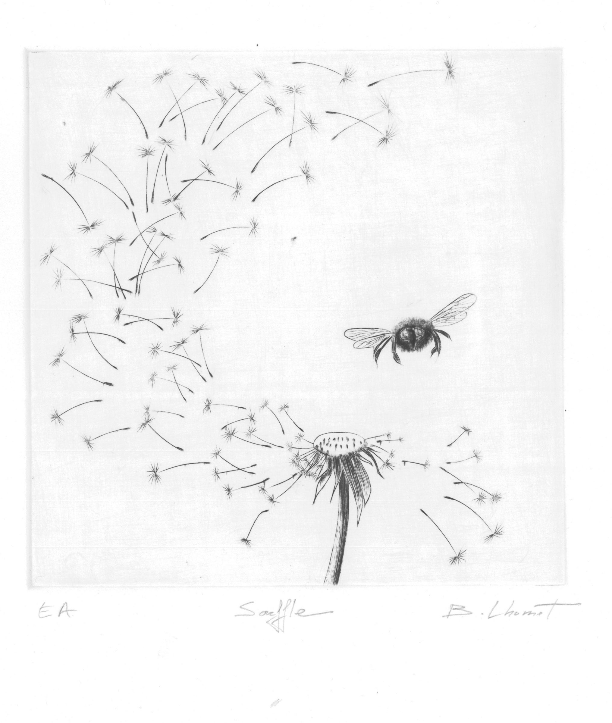 Souffle - burin - matrice 15 x 15 cm - edition 5