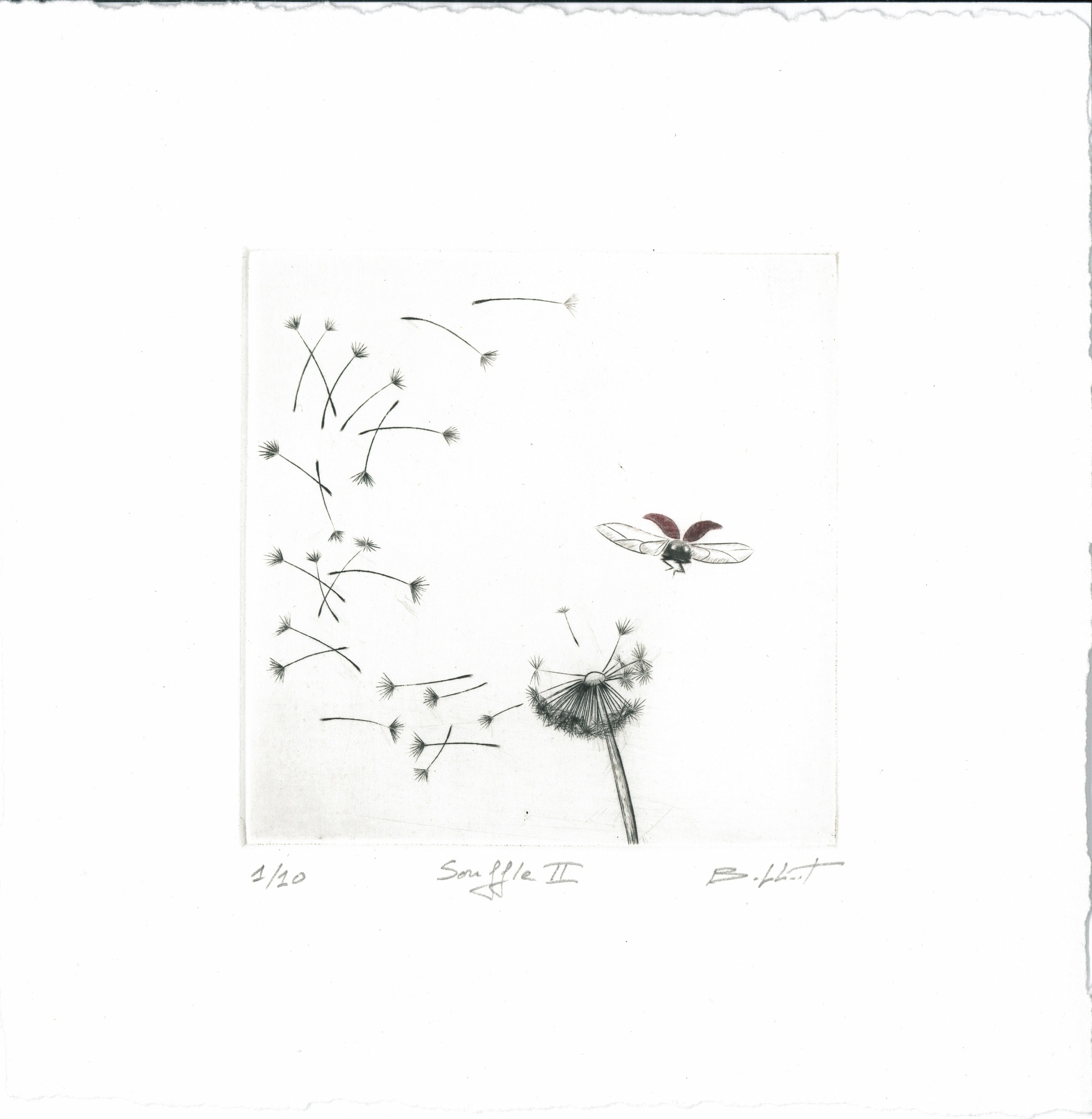 Souffle II - burin - matrice 10 x 10 cm - edition 10