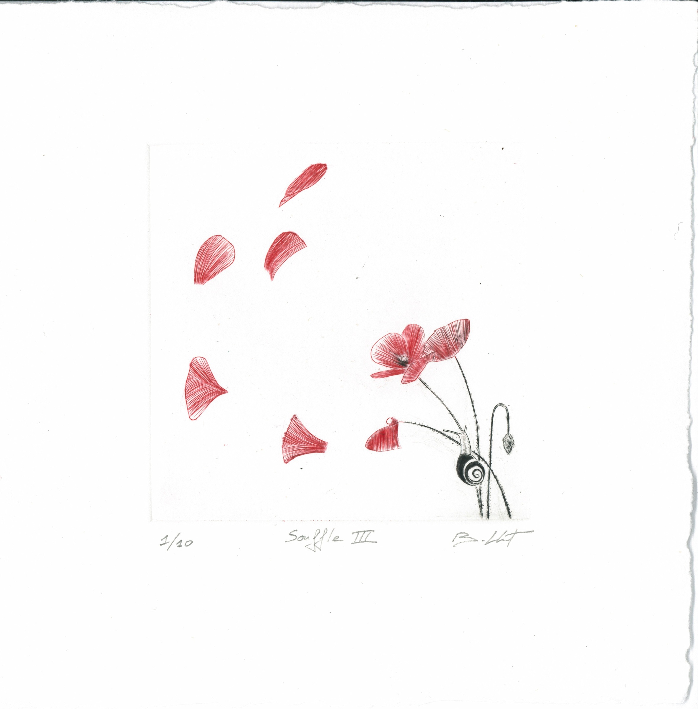Souffle III - burin - matrice 10 x 10 cm - edition 10