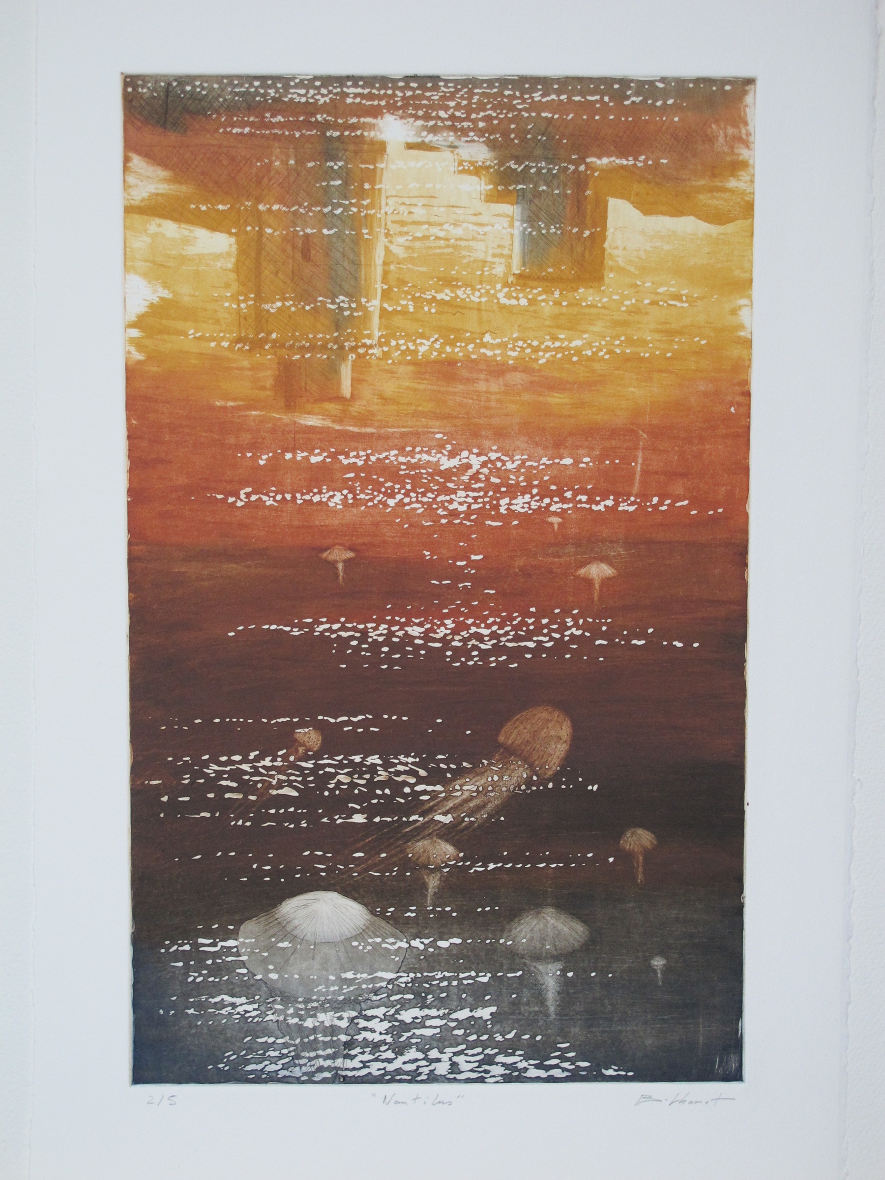 Nautilus - eau forte / aquatinte - matrice 25 x 40 cm - edition 5
