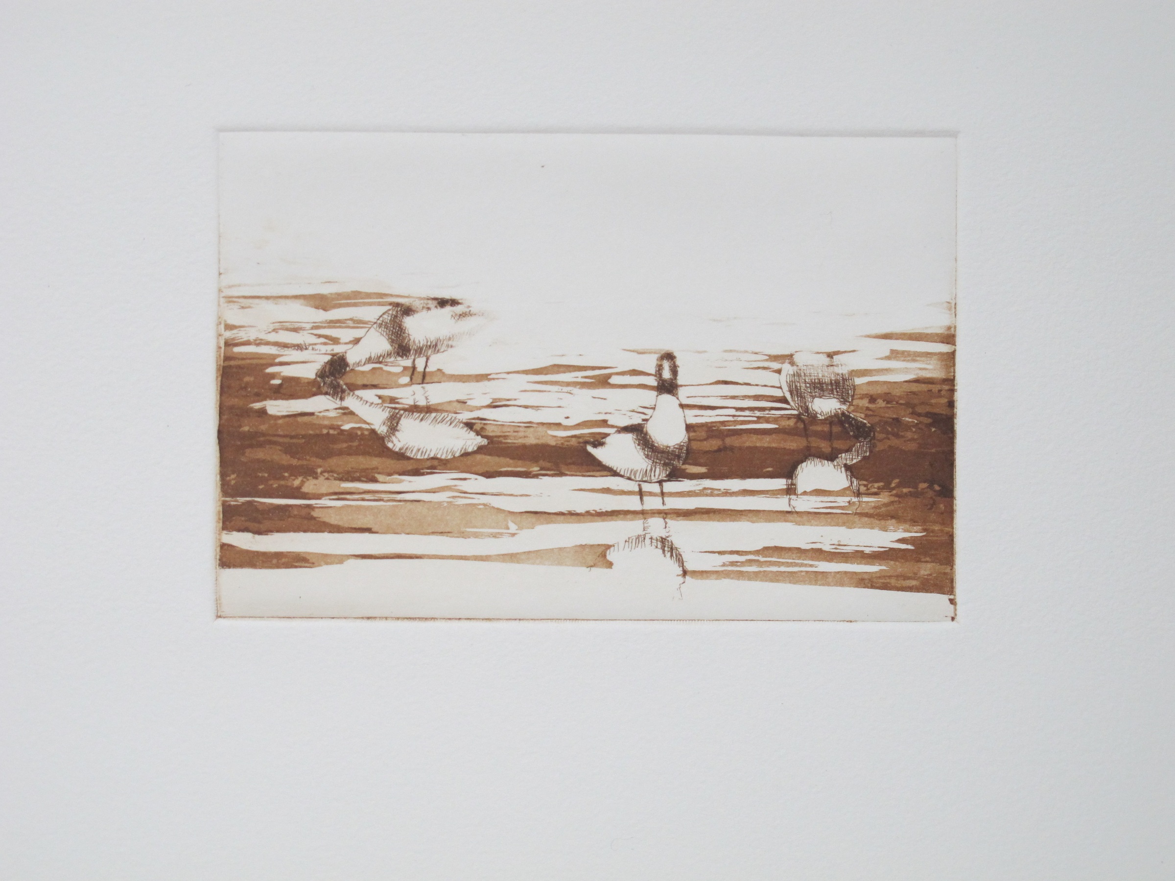 Tadornes - eau forte / aquatinte - matrice 10 x 15 cm - edition EA